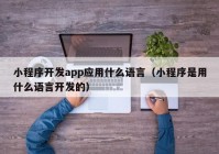 小程序開(kāi)發(fā)app應(yīng)用什么語(yǔ)言（小程序是用什么語(yǔ)言開(kāi)發(fā)的）