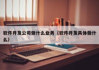 軟件開發(fā)公司做什么業(yè)務(wù)（軟件開發(fā)具體做什么）