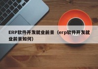 ERP軟件開發(fā)就業(yè)前景（erp軟件開發(fā)就業(yè)前景如何）