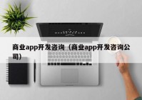 商業(yè)app開發(fā)咨詢（商業(yè)app開發(fā)咨詢公司）