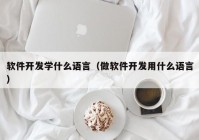 軟件開發(fā)學(xué)什么語言（做軟件開發(fā)用什么語言）