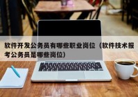 軟件開發(fā)公務(wù)員有哪些職業(yè)崗位（軟件技術(shù)報考公務(wù)員是哪些崗位）