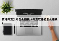 軟件開發(fā)公司怎么賺錢（開發(fā)軟件的怎么賺錢）