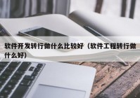 軟件開發(fā)轉(zhuǎn)行做什么比較好（軟件工程轉(zhuǎn)行做什么好）