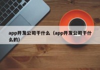 app開(kāi)發(fā)公司干什么（app開(kāi)發(fā)公司干什么的）