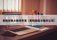 貴陽(yáng)分銷小程序開發(fā)（貴陽(yáng)微信小程序公司）