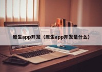 原生app開(kāi)發(fā)（原生app開(kāi)發(fā)是什么）