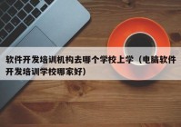 軟件開發(fā)培訓(xùn)機構(gòu)去哪個學(xué)校上學(xué)（電腦軟件開發(fā)培訓(xùn)學(xué)校哪家好）