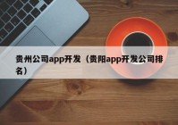 貴州公司app開發(fā)（貴陽app開發(fā)公司排名）