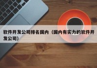 軟件開發(fā)公司排名國內(nèi)（國內(nèi)有實力的軟件開發(fā)公司）