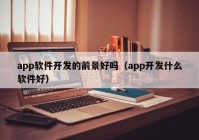 app軟件開發(fā)的前景好嗎（app開發(fā)什么軟件好）