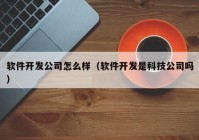 軟件開發(fā)公司怎么樣（軟件開發(fā)是科技公司嗎）