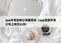 app開(kāi)發(fā)定制公司那家好（app定制開(kāi)發(fā)公司上班怎么樣）