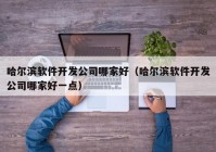 哈爾濱軟件開發(fā)公司哪家好（哈爾濱軟件開發(fā)公司哪家好一點(diǎn)）