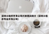 深圳小程序開發(fā)公司興田德潤簡介（深圳小程序?qū)I(yè)開發(fā)公司）