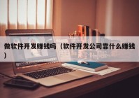 做軟件開發(fā)賺錢嗎（軟件開發(fā)公司靠什么賺錢）