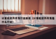 計算機軟件開發(fā)行業(yè)前景（計算機軟件開發(fā)是什么行業(yè)）