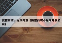 微信商城小程序開發(fā)（微信商城小程序開發(fā)公司）