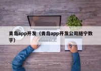 青島app開發(fā)（青島app開發(fā)公司隨寧數(shù)字）