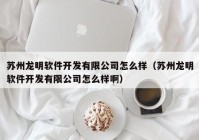 蘇州龍明軟件開發(fā)有限公司怎么樣（蘇州龍明軟件開發(fā)有限公司怎么樣啊）