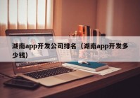 湖南app開(kāi)發(fā)公司排名（湖南app開(kāi)發(fā)多少錢）