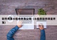 軟件開發(fā)小程序開發(fā)公司（小程序軟件項目開發(fā)）