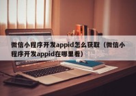 微信小程序開(kāi)發(fā)appid怎么獲?。ㄎ⑿判〕绦蜷_(kāi)發(fā)appid在哪里看）