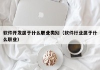 軟件開發(fā)屬于什么職業(yè)類別（軟件行業(yè)屬于什么職業(yè)）