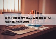 微信小程序開發(fā)工具appid在哪里看（小程序appid怎么查看）